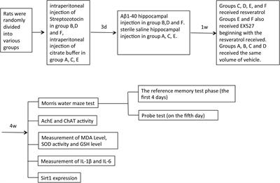 Neuroprotective Effect of Resveratrol via Activation of Sirt1 Signaling in a Rat Model of Combined Diabetes and Alzheimer’s Disease